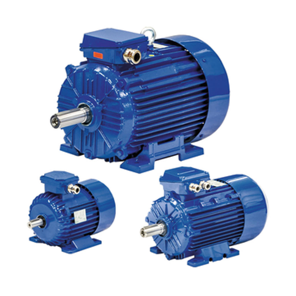 STANDARDMOTOR IE3 CI BEVI