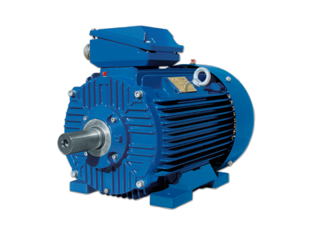 STANDARDMOTOR IE3 AL BEVI