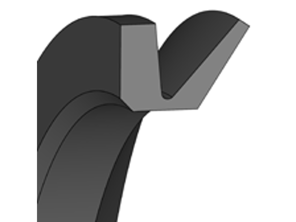 V-RING VITON FP
