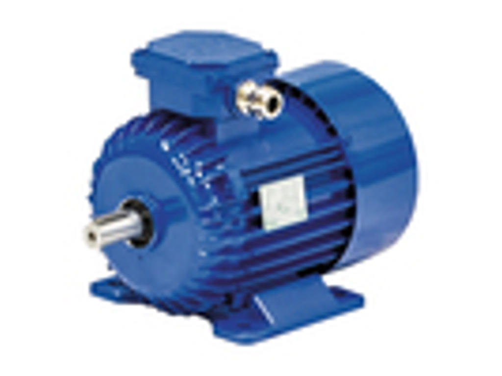 STANDARDMOTOR IE3 CI BEVI