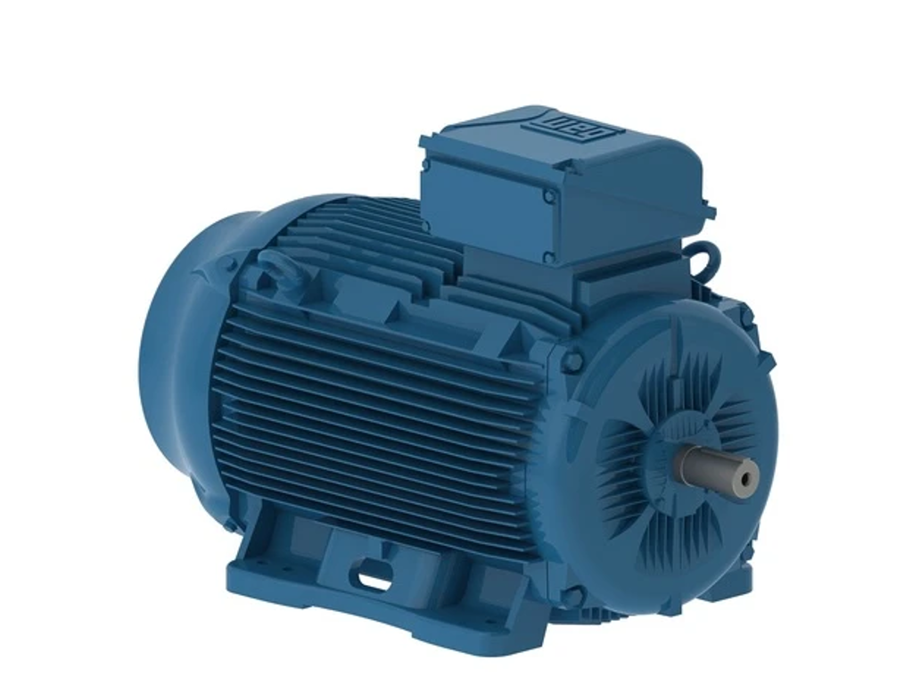 STANDARDMOTOR IE4 CI WEG